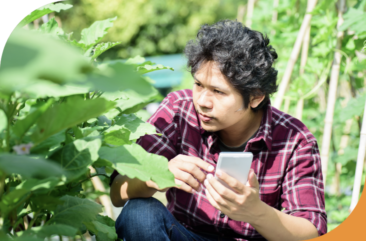Photo of a Hawaii Farm Bureau Federation employee working in the wild.