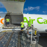 Aloha Air Cargo's employee managing the shipments