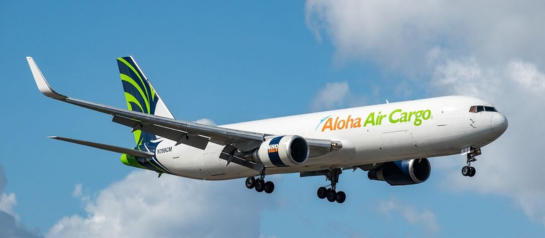 Employee loading cargo onto plane. 
