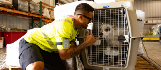 A Cargo Service Agent loading a surfboard onto a plane.
